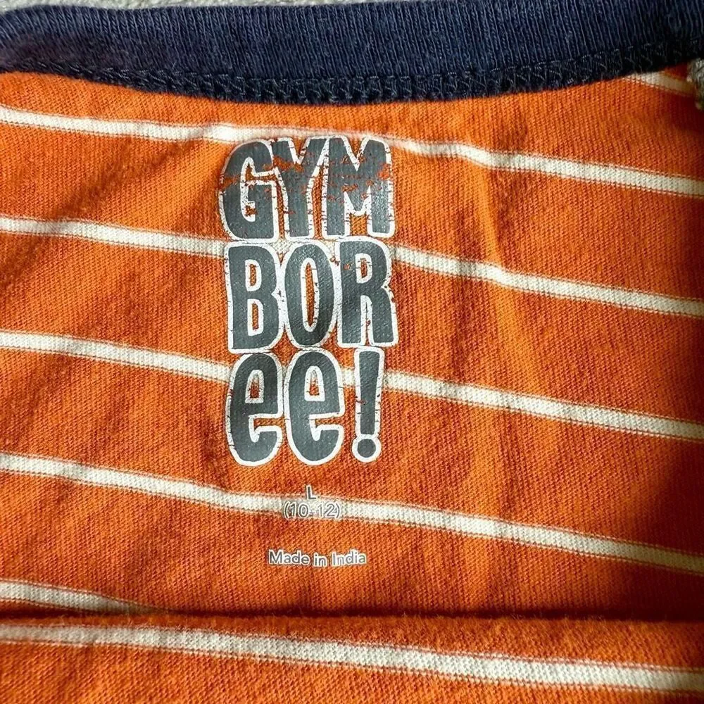 Gymboree Boys Orange Striped Raglan Longsleeve T-shirt